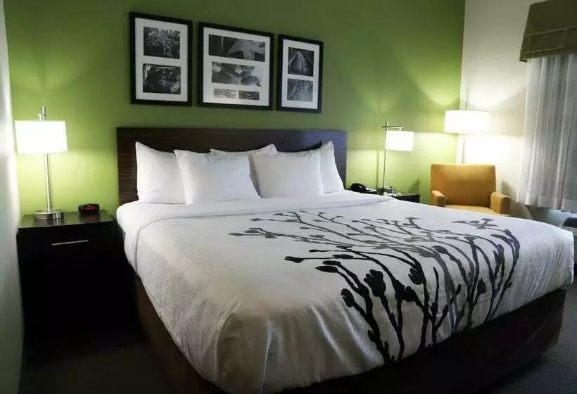 キングサイズベッドのスタンダードルーム, Sleep Inn & Suites Belmont   St. Clairsville