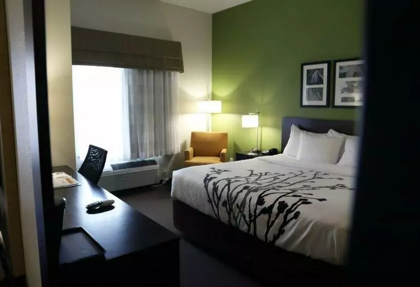 キングサイズベッドのスタンダードルーム, Sleep Inn & Suites Belmont   St. Clairsville