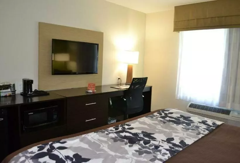 キングサイズベッドのスタンダードルーム, Sleep Inn & Suites Belmont   St. Clairsville