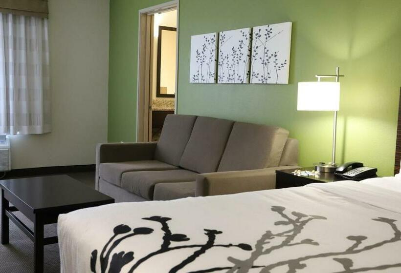 غرفة قياسية سرير كينج, Sleep Inn & Suites Belmont   St. Clairsville