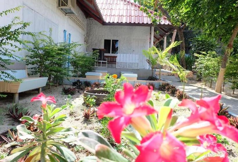 共用房间的床, Paradise Bungalows