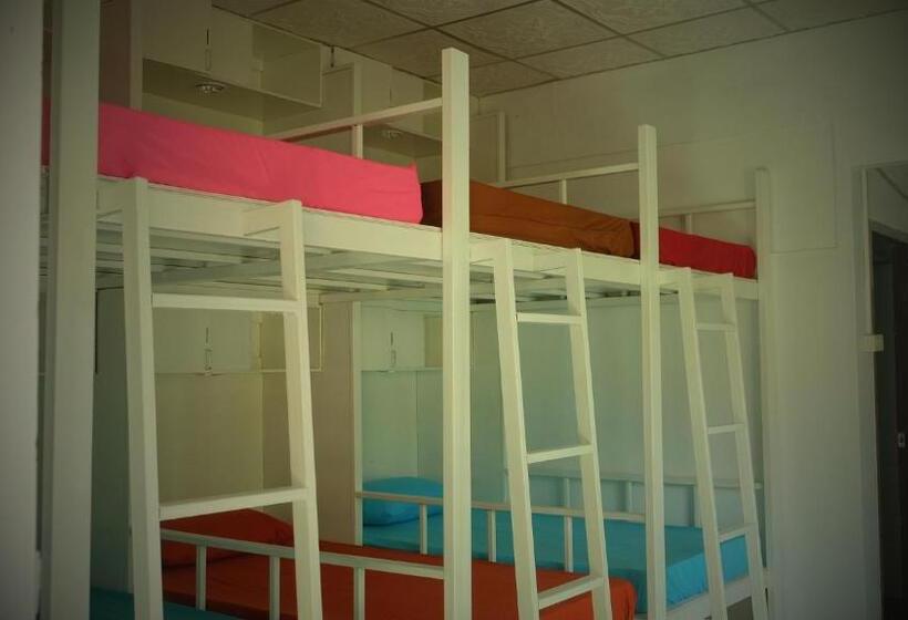 共用房间的床, Paradise Bungalows