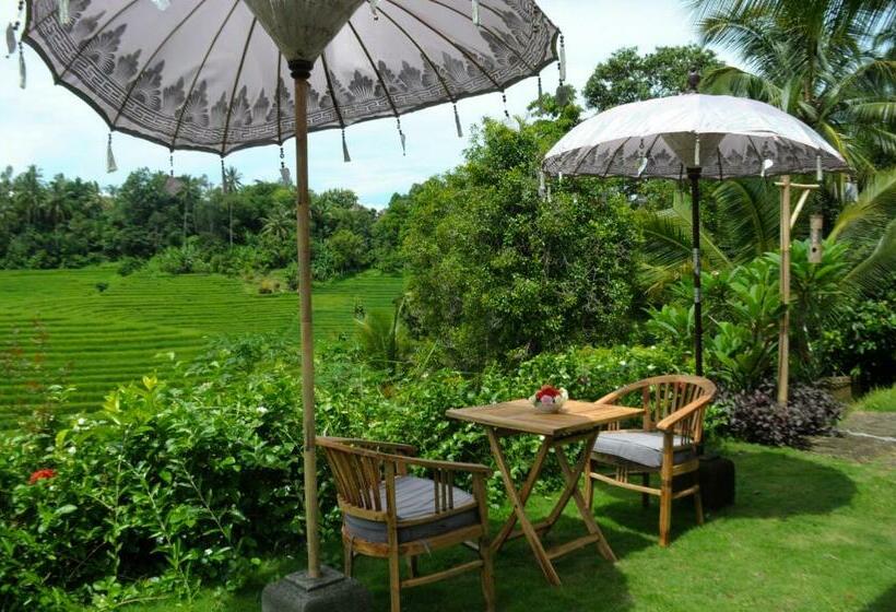 בונגלו סטנדרט עם נוף לגינה, Bali Lush