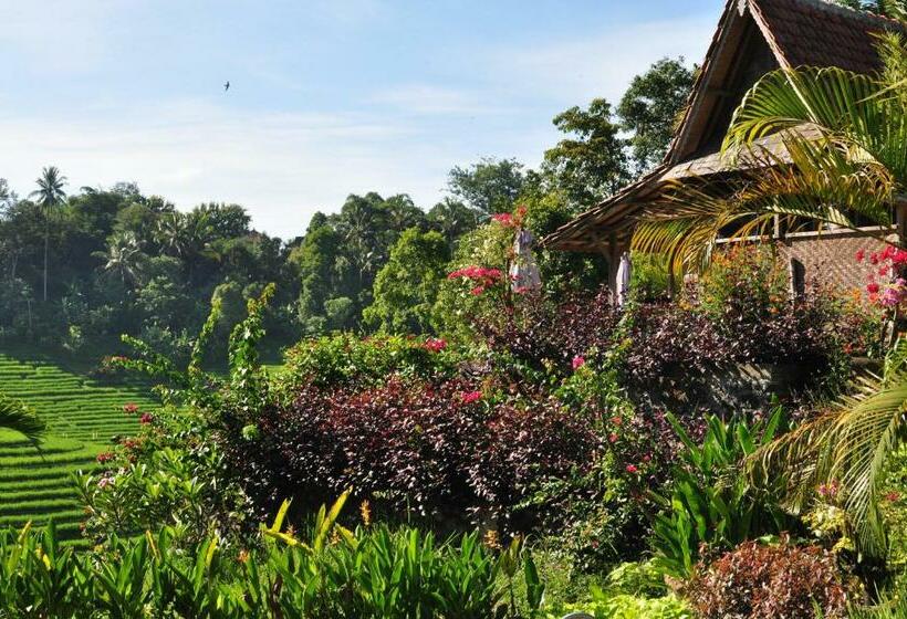 Бунгало Стандарт Вид на Сад, Bali Lush