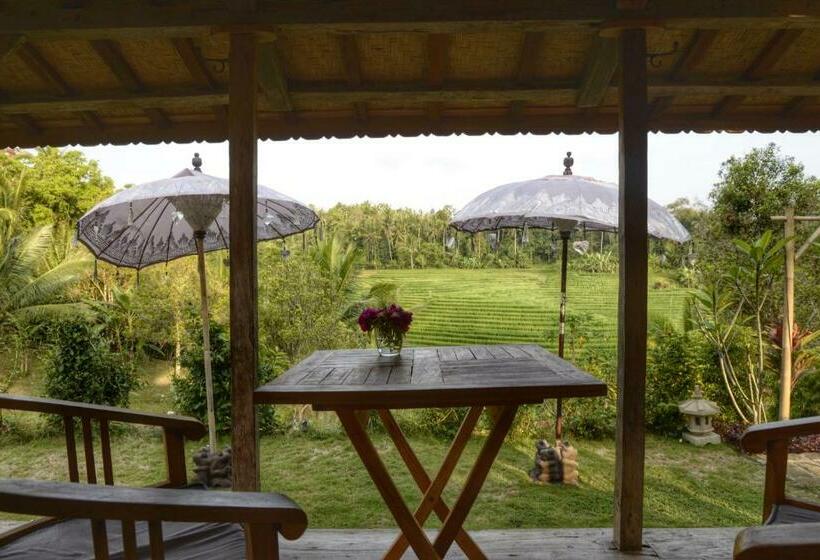 בונגלו סטנדרט עם נוף לגינה, Bali Lush