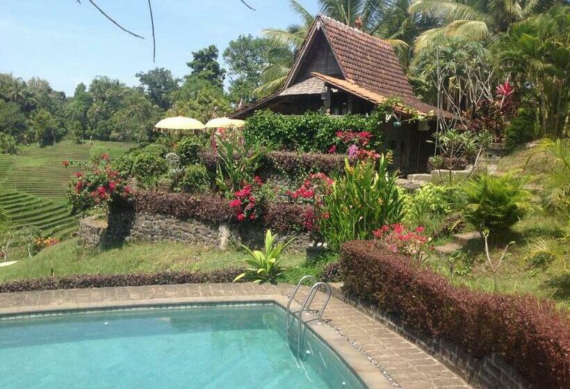 בונגלו סטנדרט עם נוף לגינה, Bali Lush