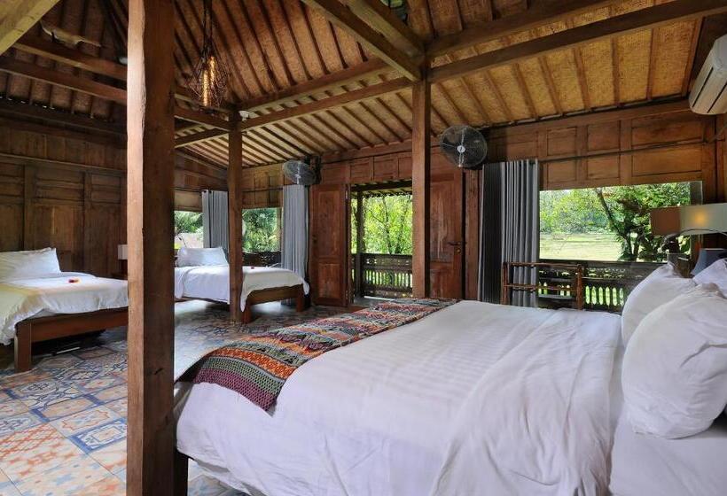 בונגלו משפחתי, Bali Lush