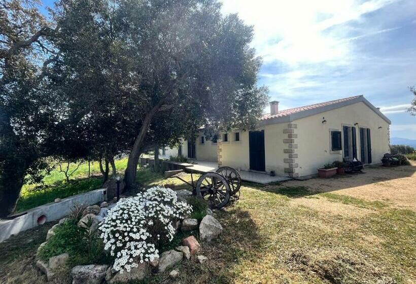 חדר סטנדרט, La Striscia Larga