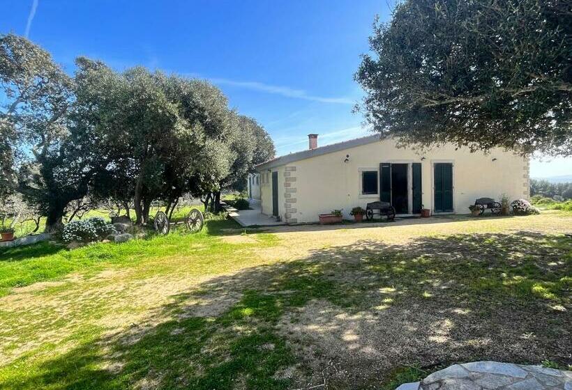 חדר סטנדרט, La Striscia Larga