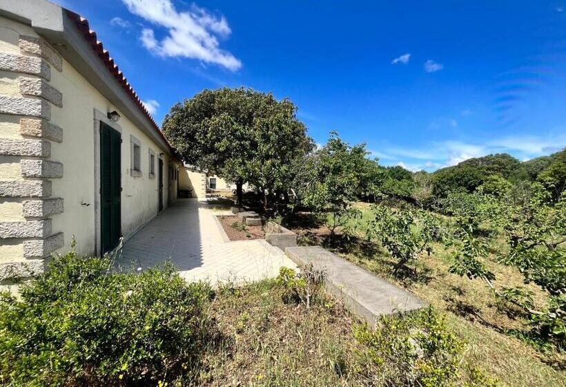 חדר סטנדרט, La Striscia Larga