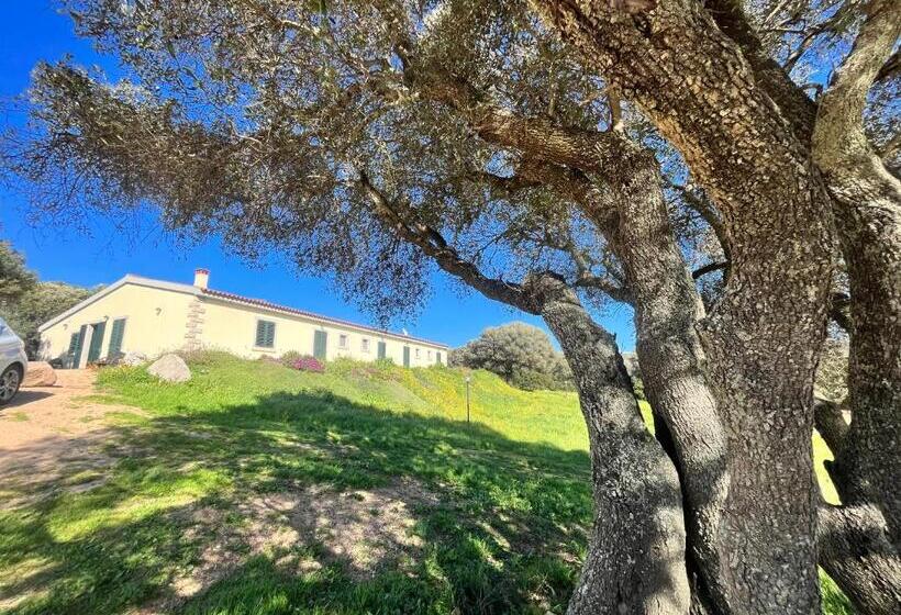 חדר סטנדרט, La Striscia Larga