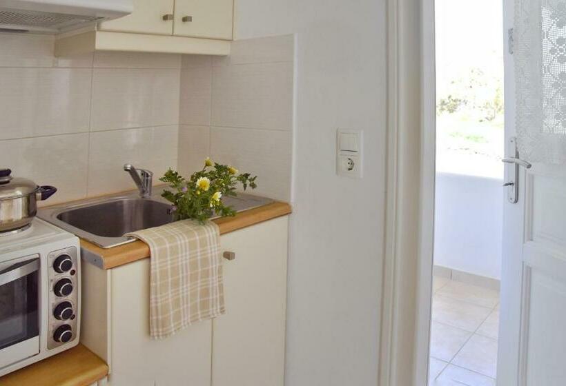 شقة غرفة واحدة مطلة على البحر, Captain Apartments Paros