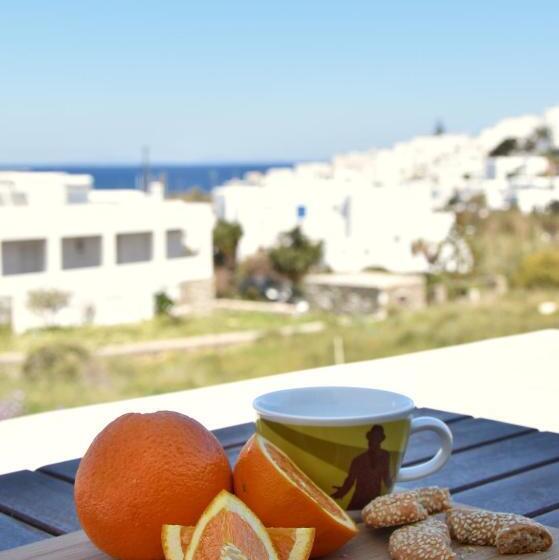 스탠다드 스튜디오 바다 전망, Captain Apartments Paros