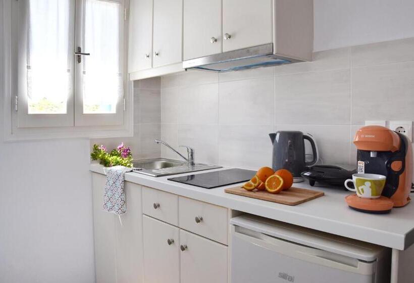 إستوديو قياسى مطل على البحر, Captain Apartments Paros