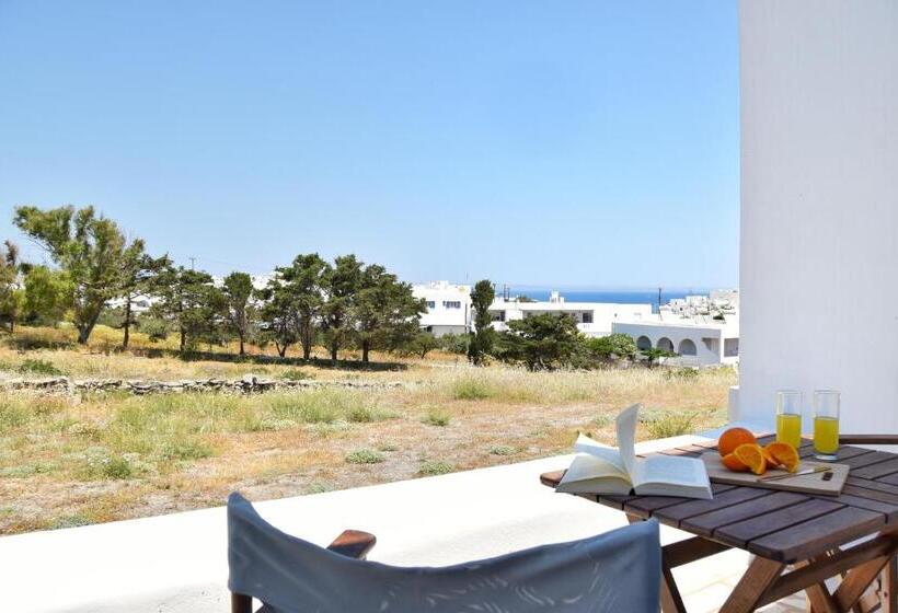 غرفة دوبلكس, Captain Apartments Paros