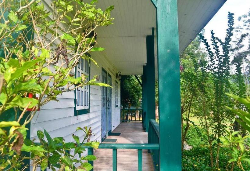 غرفة أساسية, Pai Flora Resort