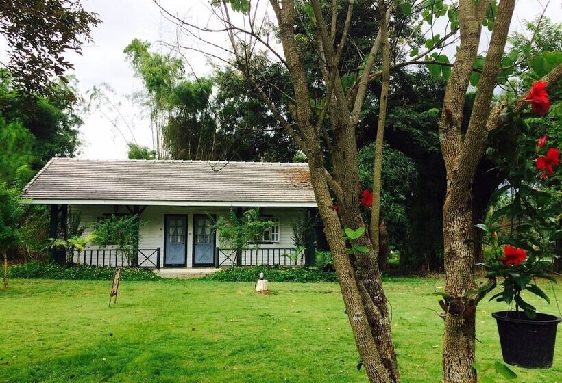 غرفة أساسية, Pai Flora Resort