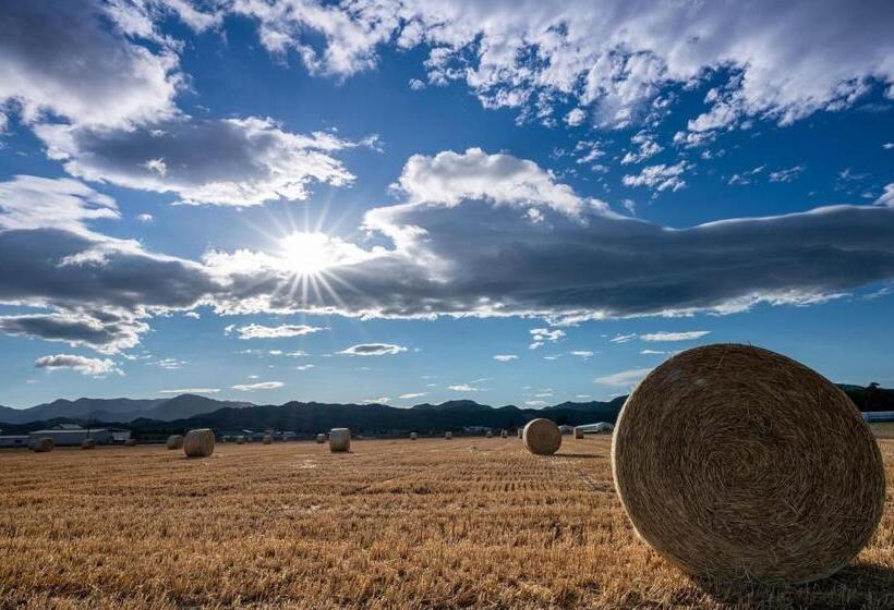 חדר אקונומי, Akane Yado