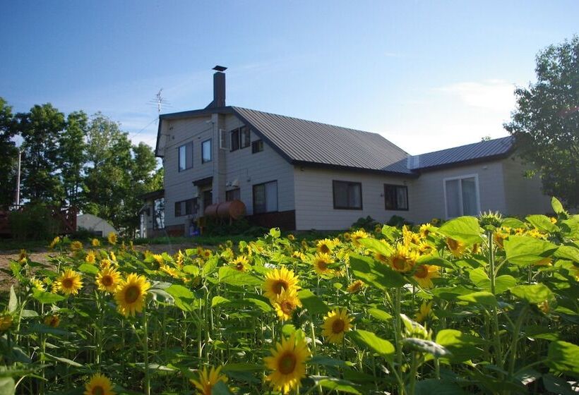 חדר סטנדרט, Akane Yado