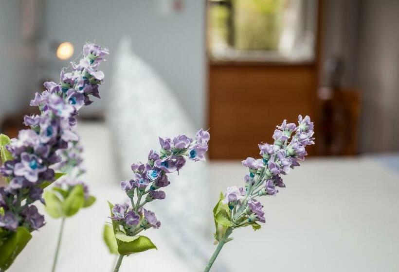 Номер Стандарт, Jenny's Guest House