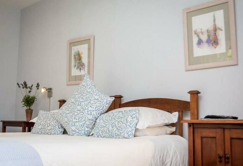 스탠다드 룸, Jenny's Guest House