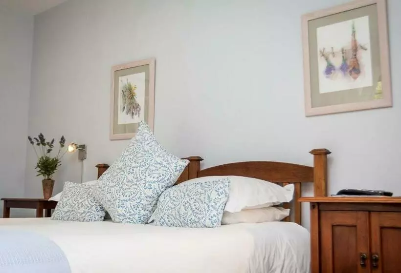 Standard-huone, Jenny's Guest House