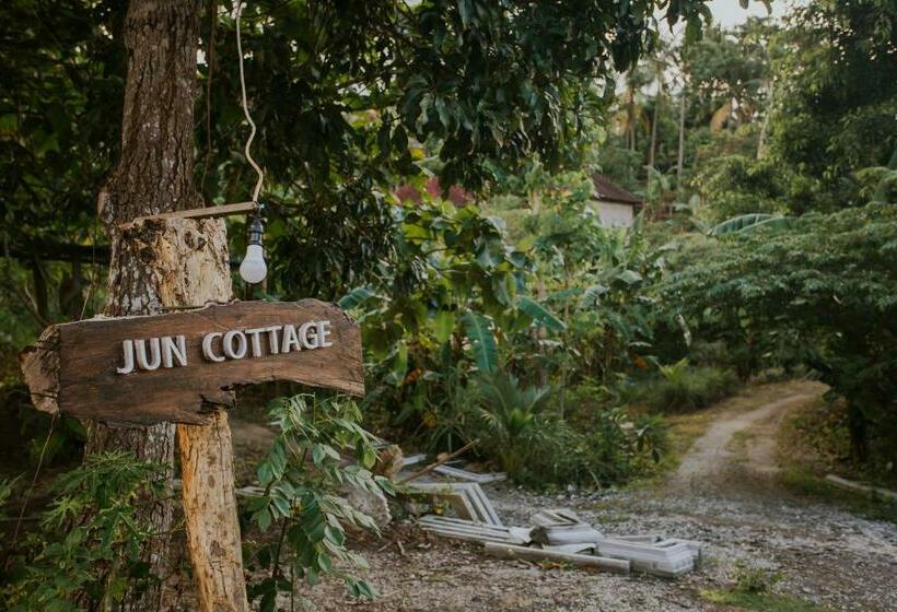 Cameră Standard Pat King Size, Jun Cottage