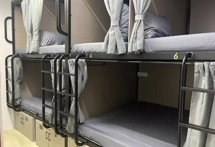 تختخواب در اتاق مشترک, Meadows Hostel