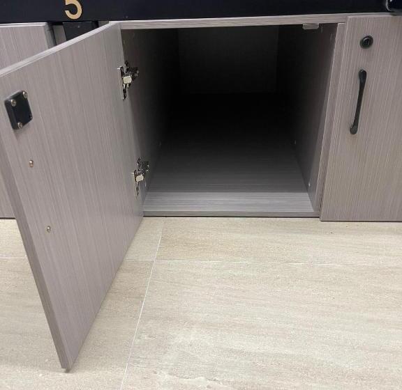 تختخواب در اتاق مشترک, Meadows Hostel