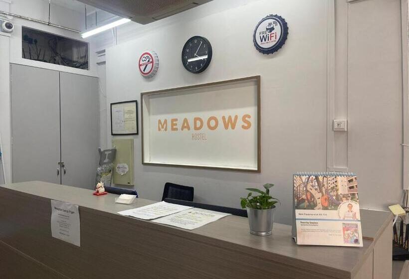 تختخواب در اتاق مشترک, Meadows Hostel