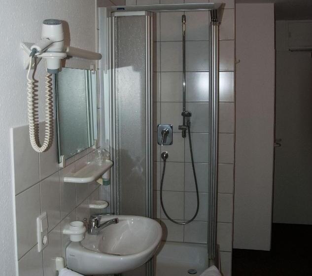 스탠다드 싱글 룸, Gästehaus Ziegler