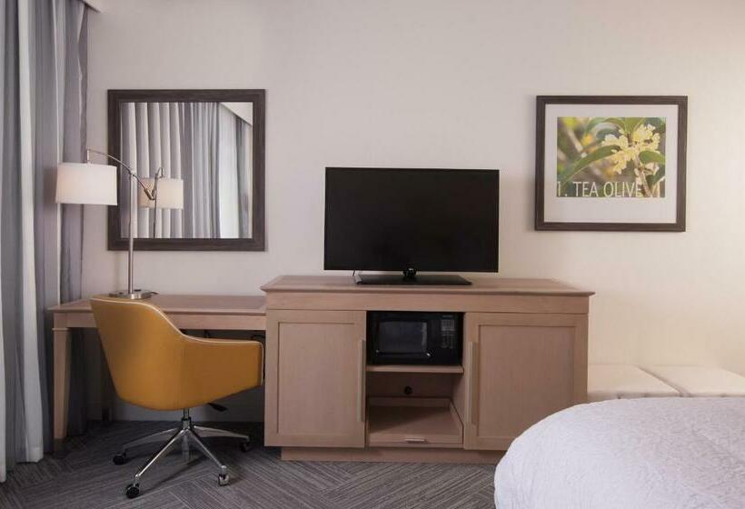 Люкс Deluxe Кровать Кинг, Hampton Inn & Suites By Hilton Augustawashington Rd