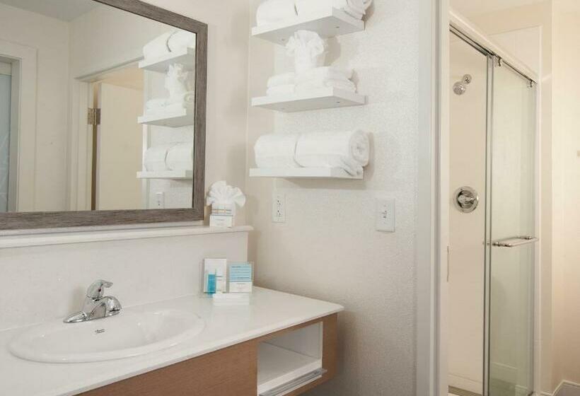 디럭스 스위트 킹 침대, Hampton Inn & Suites By Hilton Augustawashington Rd