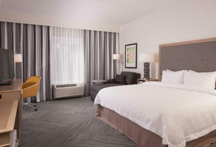 Номер Стандарт Кровать Кинг Адаптированный для Инвалидов, Hampton Inn & Suites By Hilton Augustawashington Rd