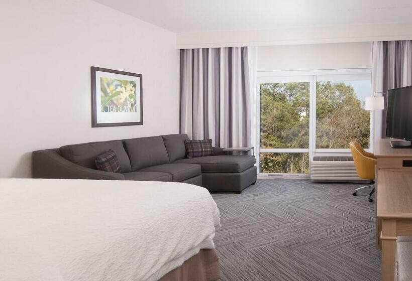 Номер Стандарт Кровать Кинг Адаптированный для Инвалидов, Hampton Inn & Suites By Hilton Augustawashington Rd