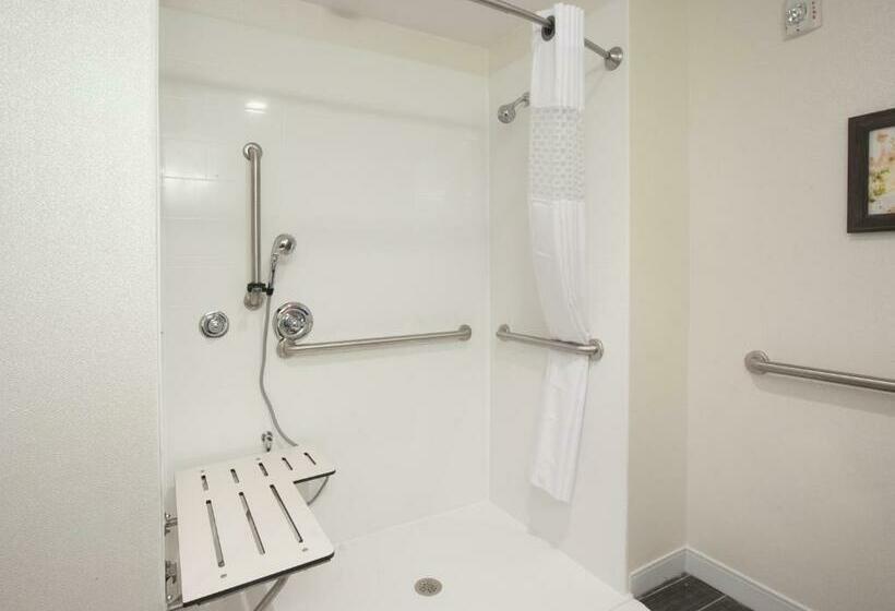 Номер Стандарт Кровать Кинг Адаптированный для Инвалидов, Hampton Inn & Suites By Hilton Augustawashington Rd