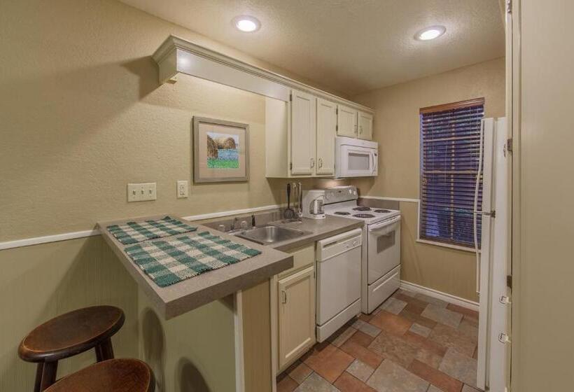 غرفة قياسية, Holiday Inn Club Vacations Villages Resort At Lake Palestine