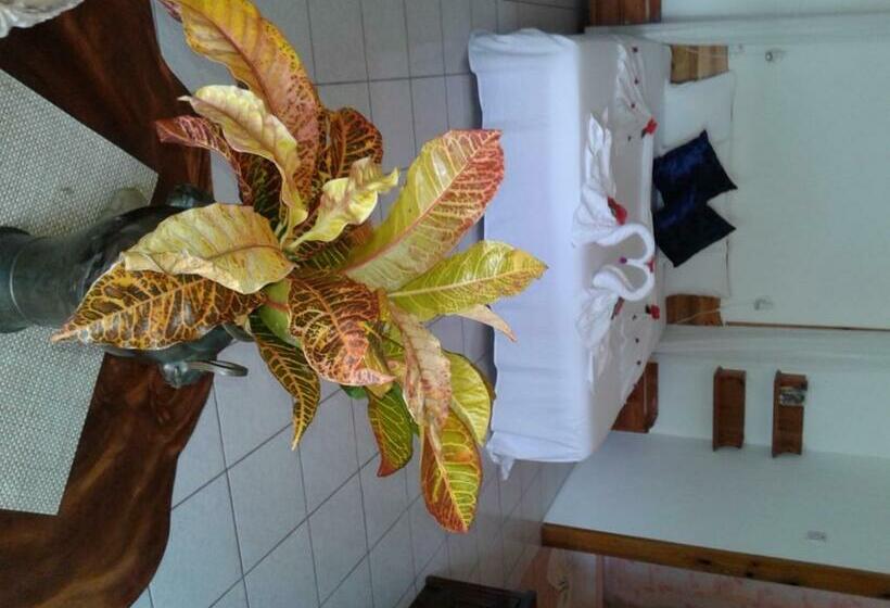 Superior Kamer, Le Relax St. Joseph Guest House