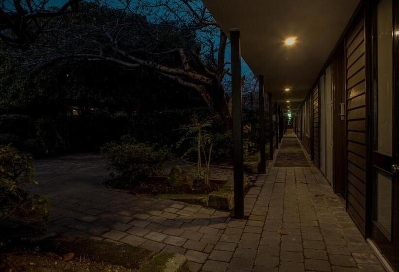 إستوديو قياسى مطلّ علي الحديقة, Aurora On George