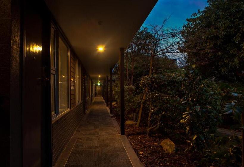 إستوديو قياسى مطلّ علي الحديقة, Aurora On George