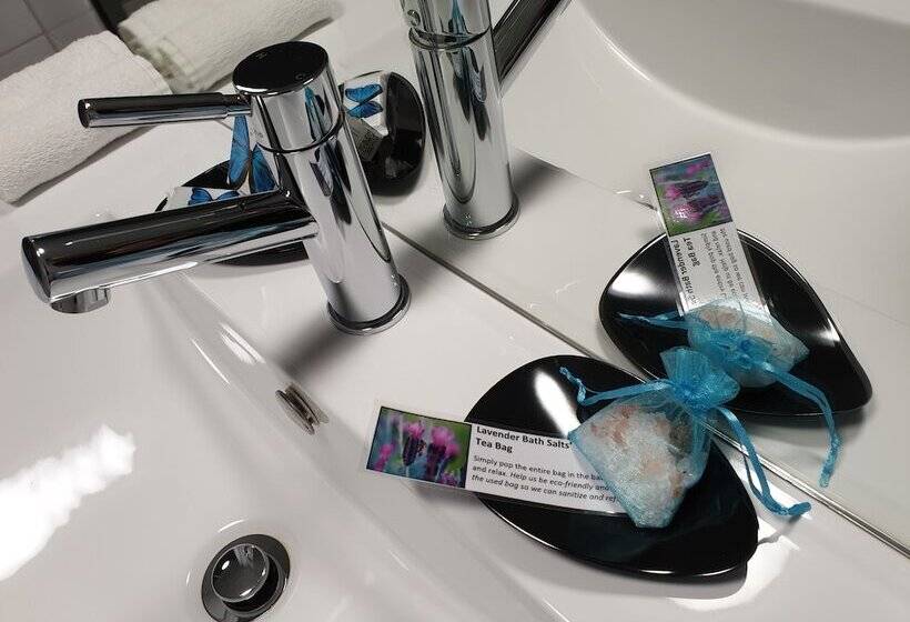 إستوديو ديلوكس, Aurora On George