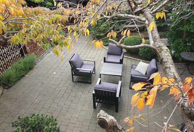 استوديو إدارى, Aurora On George