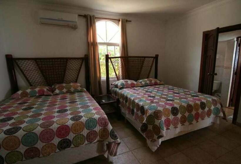 اتاق لوکس, Panoramica