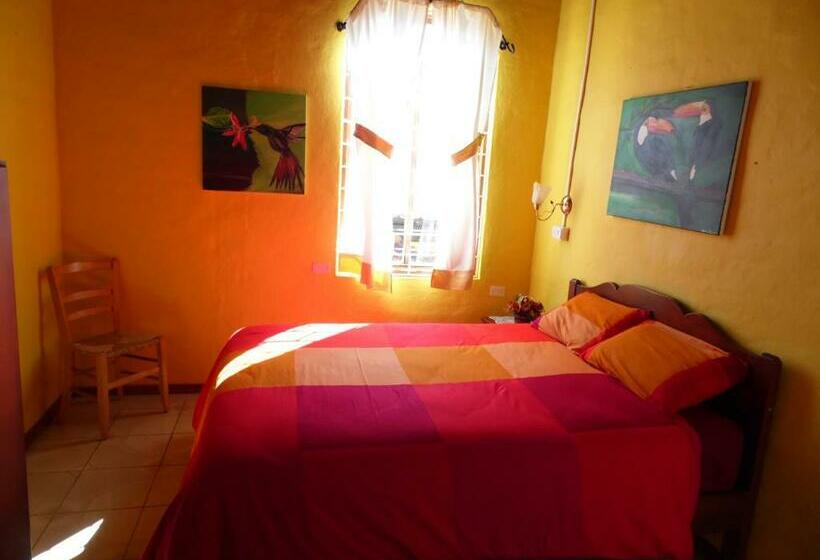 غرفة أساسية, La Casa Amarilla