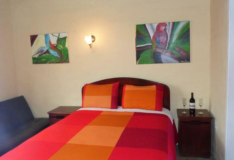 غرفة قياسية, La Casa Amarilla