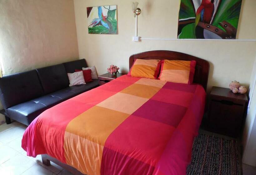 스탠다드 룸, La Casa Amarilla