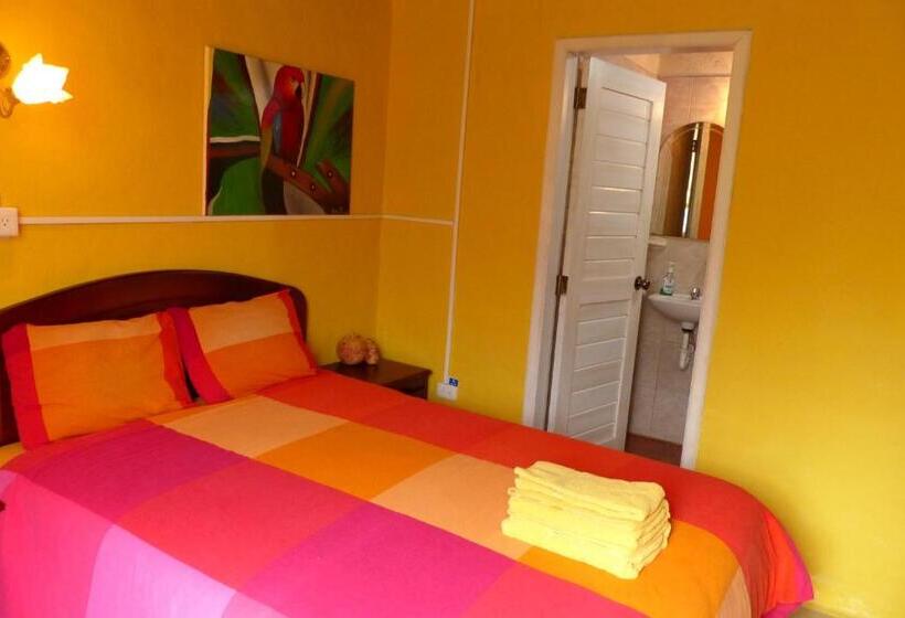 غرفة قياسية, La Casa Amarilla