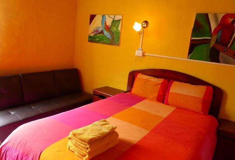 غرفة قياسية, La Casa Amarilla