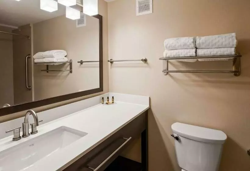 キングサイズベッドのスタンダードルーム, Best Western Plus Thornburg Inn & Suites