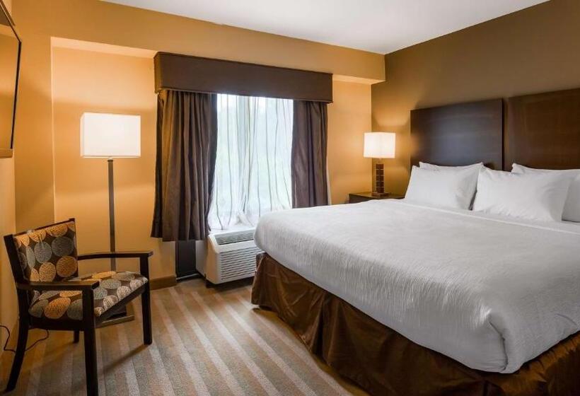 غرفة قياسية سرير كينج لذوى الإحتياجات الخاصة, Best Western Plus Thornburg Inn & Suites